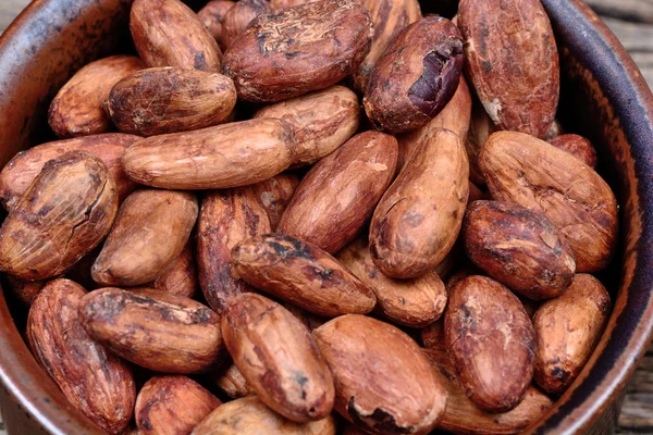 Cacao bonen in een kom Stockfoto