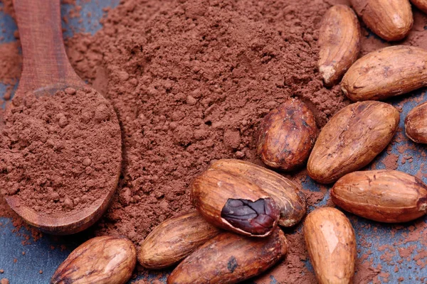 Kayrak fasulyeli tahta kaşıkla kakao tozu — Stok fotoğraf