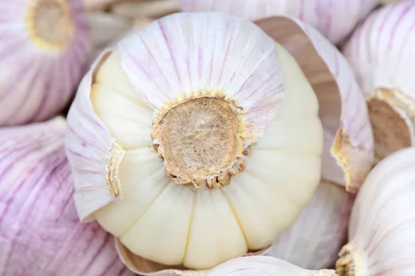 Latar belakang bawang putih segar — Foto Stok Gratis