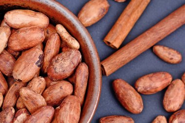 Tarçın ile bir fincan kakao çekirdekleri