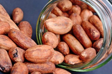 Mavi arka plan üzerinde bir kavanoza kakao çekirdekleri