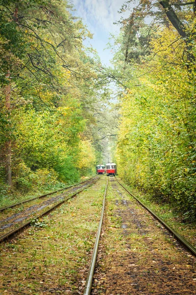 Tramvay yönlendirme güneşli sonbahar orman yolu