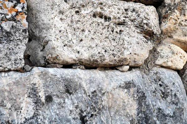 Küçük gri bir kertenkele taş bir duvara saklandı. Taş kalıntıları, eski yapı, tarihi mimari anıt..