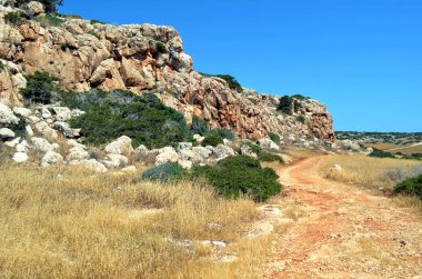 The rocky coast of the Mediterranean Sea. Cape Greco, Cyprus