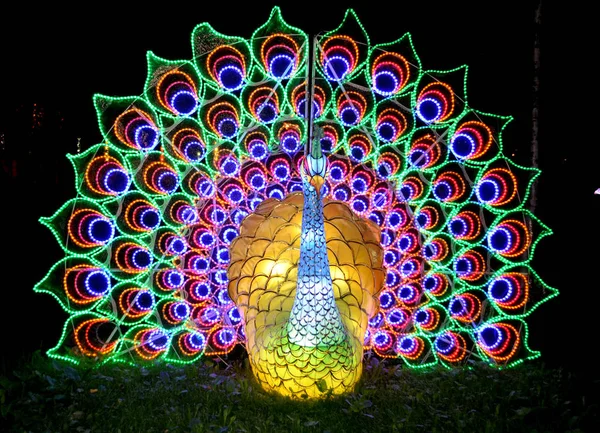 St. Petersburg, RUSSIA - September 07, 2019: Festival of huge luminous Chinese lanterns. Bright multicolored peacock
