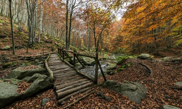 Paisaje colorido de otoño. Puente de madera en el bosque . Fotos De Stock Sin Royalties Gratis