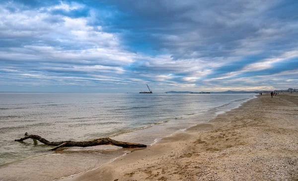Arena playa paisaje al atardecer. Horizonte del mar con tronco en la orilla — Foto de Stock