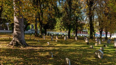 Bir sürü bitki içeren büyük bir şehirde bir mezarlık.