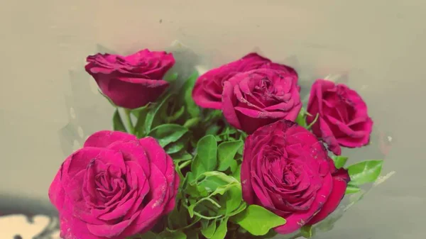 Belle Bouquet Fleurs Rose Rouge — Photo