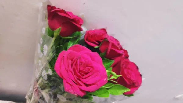 Belle Bouquet Fleurs Rose Rouge — Photo