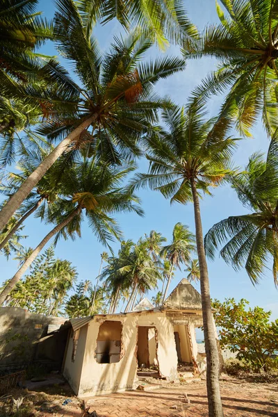 Casa y palmeras en Vietnam — Foto de Stock