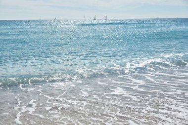 Barcelona'da deniz plaj