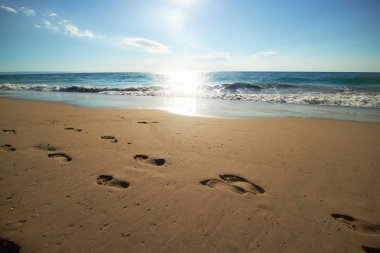 footprints in the sand on the beach clipart
