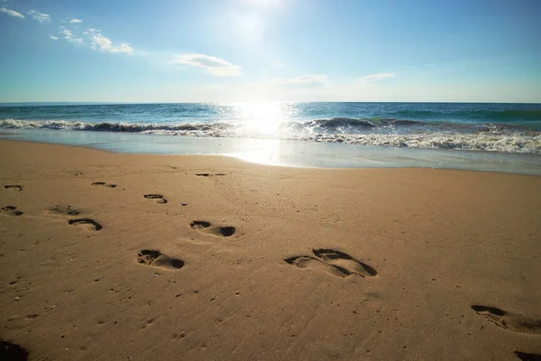 Urme de pași în nisip pe plajă Fotografie de stoc