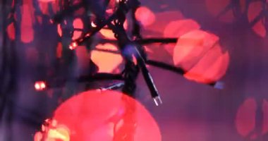 Noel ışıkları parlayan portre 