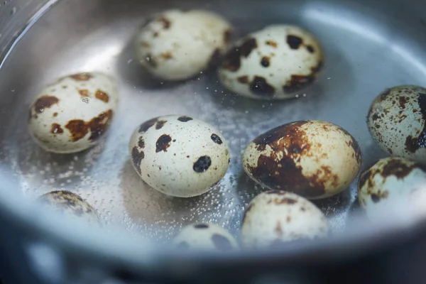 Faire bouillir dans une casserole les œufs de caille — Photo