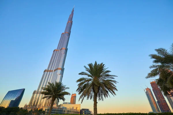 Palmy Wysokie Budynki Mieście Dubaj — Zdjęcie stockowe