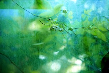  Eski cam kurşun delikleri