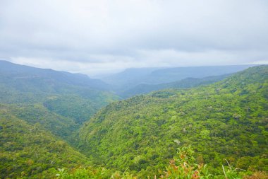 Ağaçlarla kaplı yeşil dağlar
