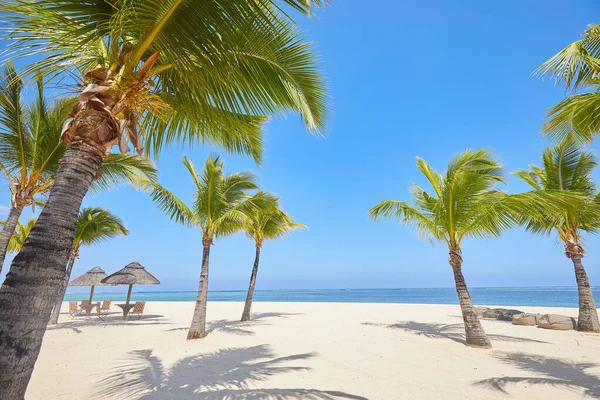 Tropischer Sommerstrand Bei Sonnigem Tag — Stockfoto