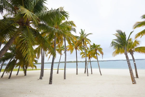 Summer Tropical Resort Beach Gloomy Daytime — Stock Photo, Image