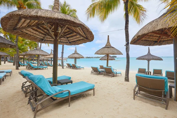 Plage Tropicale Avec Chaises Longues Parasols — Photo