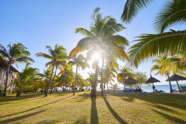 Complejo Tropical Con Palmeras Durante Día Verano — Foto de Stock