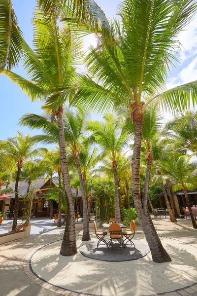 Matbord Lyxig Tropisk Resort — Stockfoto