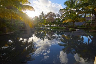 Havuz kenarlı lüks otel, tropikal tatil.
