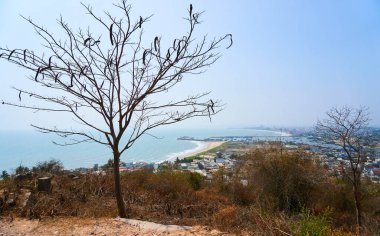 Tepeden şehri ve denizi izle.          