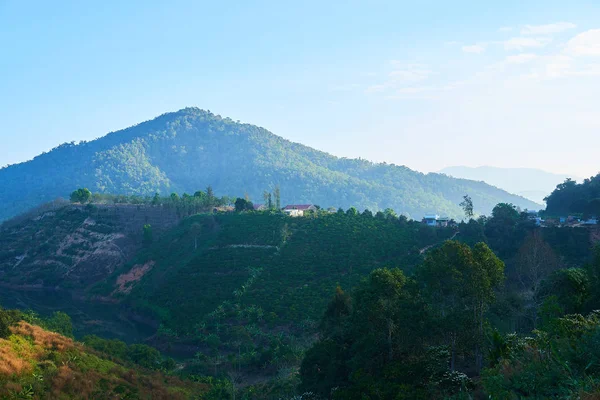 Groene Aziatische Bergen Landschap — Stockfoto