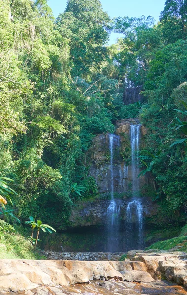 Cachoeira Floresta Verde Fundo Natureza — Fotografia de Stock