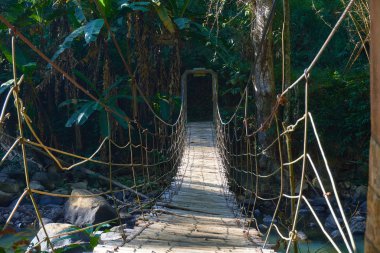 asma köprü yeşil orman