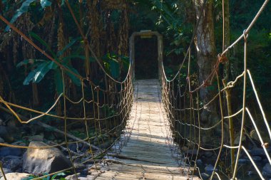 asma köprü yeşil orman