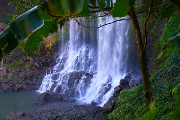 Vietnam orman şelale