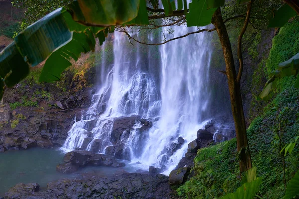 Wodospad Lesie Wietnam — Zdjęcie stockowe