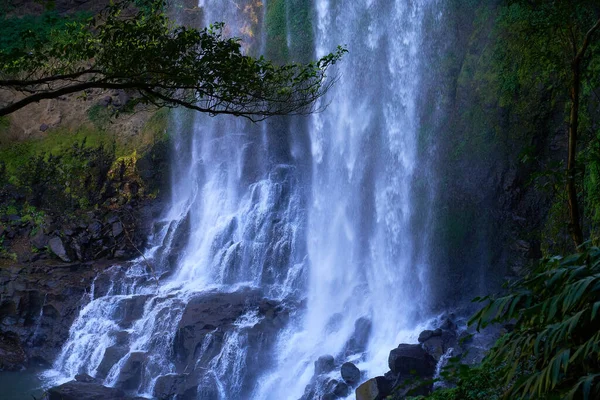 Vodopád Zeleném Lese Přírodní Zázemí — Stock fotografie