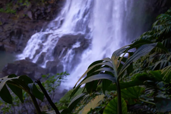 Wasserfall Wald Von Vietnam — Stockfoto