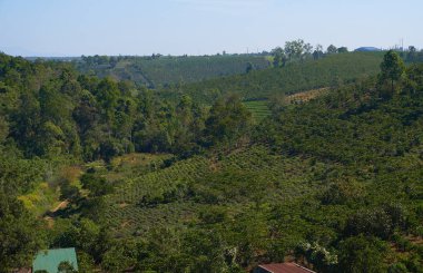 Yeşil Asya dağları manzarası