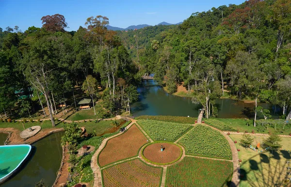 Ordenada Asiático Jardín Verde Parque — Foto de Stock