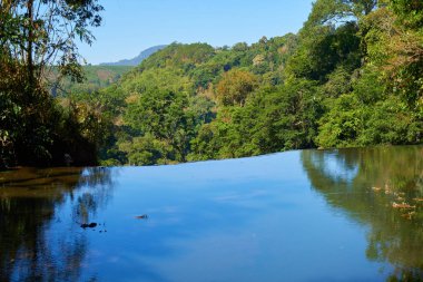 Yeşil ormanda yansıyan ağaçlarla dolu şelale.      