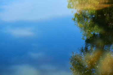 Yeşil ormanda yansıyan ağaçlarla dolu şelale.      