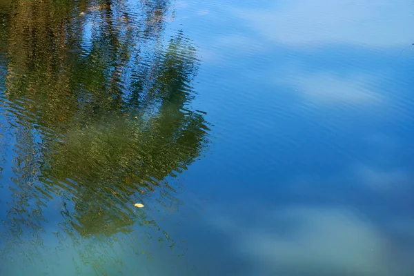 Водоспад Відображенням Дерев Зеленому Лісі — стокове фото