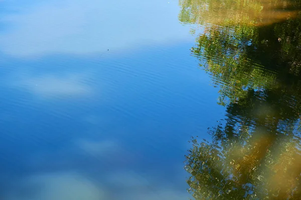 Waterval Met Bomen Reflectie Groen Bos — Stockfoto