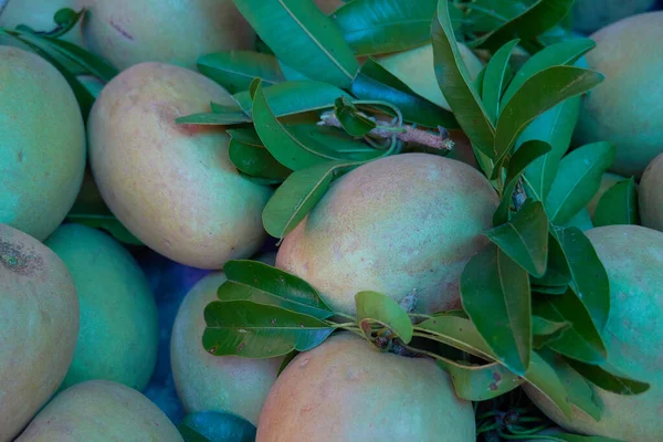 市場の屋台で新鮮な熟したトロピカルフルーツ — ストック写真