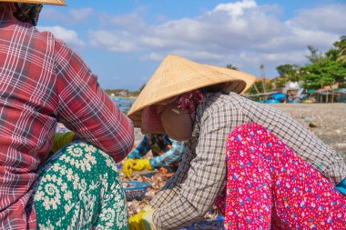 Asyalılar sahilde deniz salyangozu topluyor.