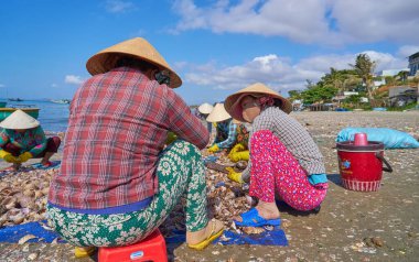 Asyalılar sahilde deniz salyangozu topluyor.