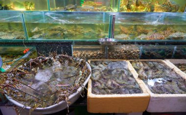 Asya pazarında deniz ürünleri