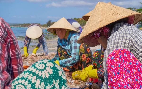 Азиаты Собирают Морских Улиток Пляже — стоковое фото