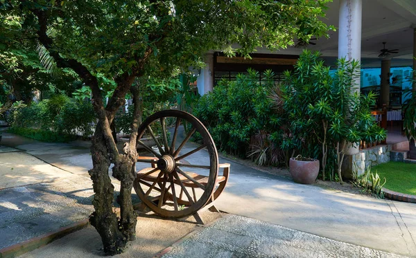 緑の植物と居心地の良い庭 — ストック写真